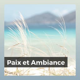 Paix et Ambiance - Música Ambiente