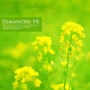 Magnificent and Sweet Classical Collection for Comfortable Sleep - Dimanche FR