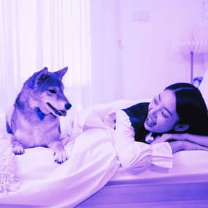 Successful Ambiance for Alert Doggy - Calma Música para Perros