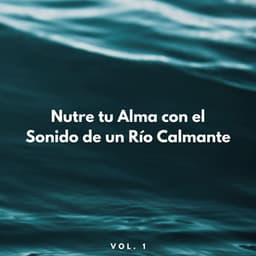 Nutre Tu Alma Con El Sonido De Un Río Calmante Vol. 1 - Etiqueta de la naturaleza