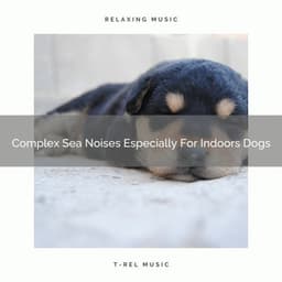 Complex Sea Noises Especially For Indoors Dogs - Pets Total Relax