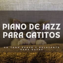 Piano De Jazz Para Gatitos: Un Tono Suave Y Relajante Para Gatos - Simplemente Piano
