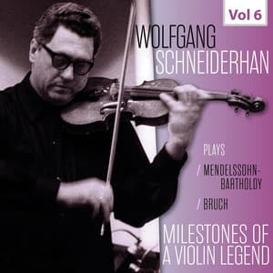 Milestones of a Violin Legend: Wolfgang Schneiderhan, Vol. 6 - Wolfgang Schneiderhan
