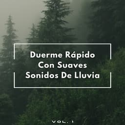Duerme Rápido Con Suaves Sonidos De Lluvia Vol. 1 - Sonido de lluvia para dormir