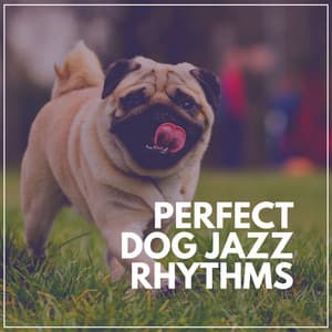 Perfect Dog Jazz Rhythms - Relaxing Jazz Nights