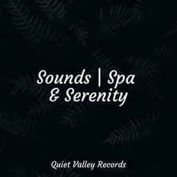 Sounds | Spa & Serenity - Calm Down