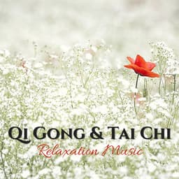 Qi Gong & Tai Chi Relaxation Music - Raise Vitality Levels and Relax Deeply with Instrumental Music - Tai Chi Stars