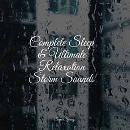Complete Sleep & Ultimate Relaxation Storm Sounds - Loopable Rain Sounds