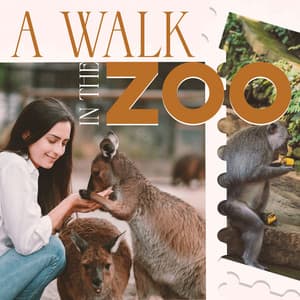 A Walk In The Zoo - Wildlife Park