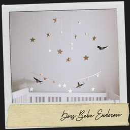 Dors Bébé Endormi : Berceuses de Rêve pour une Nuit Paisible - Dog Relaxation