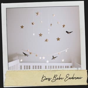 Dors Bébé Endormi : Berceuses de Rêve pour une Nuit Paisible - Dog Relaxation