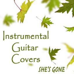 Instrumental Guitar Covers - She's Gone - Steve Petrunak
