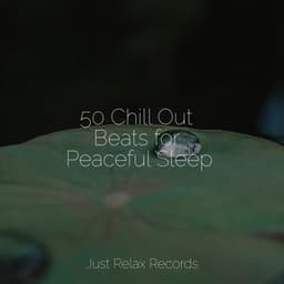50 Chill Out Beats for Peaceful Sleep - Sonidos De Lluvia y Tormentas