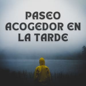 Paseo Acogedor En La Tarde - Estado de distracción