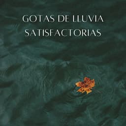 Gotas De Lluvia Satisfactorias - Sonidos de lluvia y naturaleza