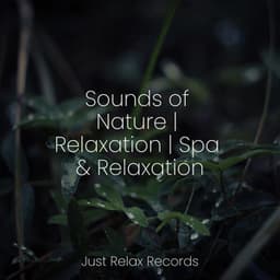 Sounds of Nature | Relaxation | Spa & Relaxation - Ambient