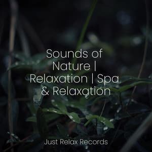 Sounds of Nature | Relaxation | Spa & Relaxation - Ambient