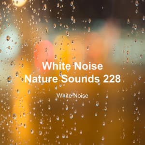 White Noise 228 - White Noise