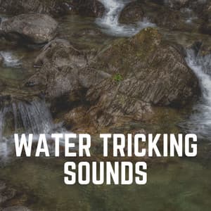 Water Tricking Sounds - Water Soundscapes