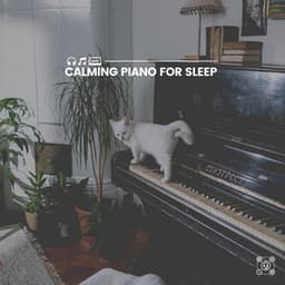 Calming Piano for Sleep - Calm Piano