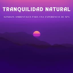 Tranquilidad Natural: Sonidos Ambientales Para Una Experiencia De Spa - Effectum