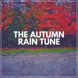 The Autumn Rain Tune - Meditation Rain Sounds