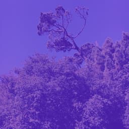 Bgm for Bhakti Yoga - Yoga Music Moments