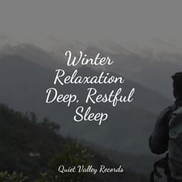 Winter Relaxation Deep, Restful Sleep - Nature Sounds Collection