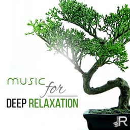 Music for Deep Relaxation: 50 Zen Tracks, Healing Meditation, Namaste Yoga, Pure Spa Massage Music, Reiki Treatment, Serenity - Total Relax Zone