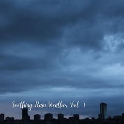 Soothing Rain Weather Vol. 1 - Natures Acoustics
