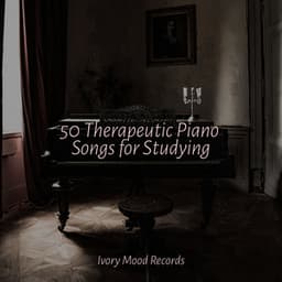 50 Therapeutic Piano Songs for Studying - Ivory Mood