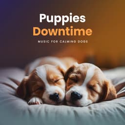 Puppies Downtime - Music for Calming Dogs