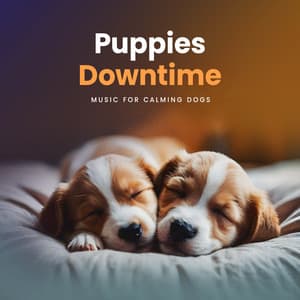 Puppies Downtime - Music for Calming Dogs