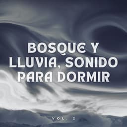 Bosque Y Lluvia, Sonido Para Dormir Vol. 2 - Efectos especiales de lluvia del bosque
