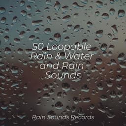 50 Loopable Rain & Water and Rain Sounds - Ambient