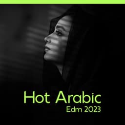 Hot Arabic Edm 2023 – Oriental Melodic Mix: Lofi Beats - Edm 2023