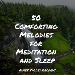 50 Comforting Melodies for Meditation and Sleep - Ruído Branco