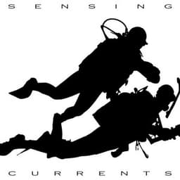 Sensing Currents - Sundays By The Ocean