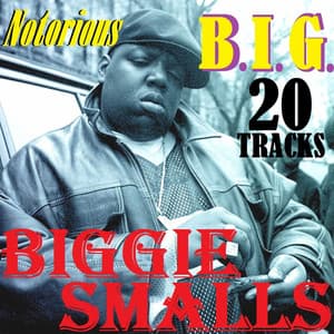 Notorious B.I.G. - Biggie Smalls
