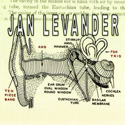 For Trio and Ten Piece Band - Jan Levander