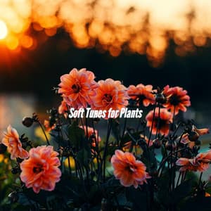 Soft Tunes for Plants - #Calmante