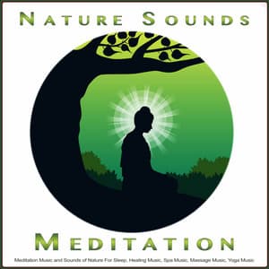 Nature Sounds Meditation: Meditation Music and Sounds of Nature For Sleep, Healing Music, Spa Music, Massage Music, Yoga Music, Bird Sounds Meditation Music and Sleeping Music - Meditation Music For Sleep