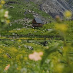 0 Hour Nature: The Thinking Place - Nature Sound Collection