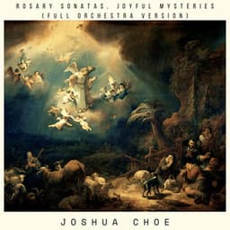 Rosary Sonatas, Joyful Mysteries - Heinrich Ignaz Franz von Biber