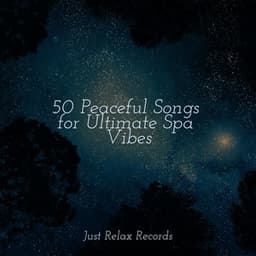 50 Peaceful Songs for Ultimate Spa Vibes - Deep Sleep Meditation