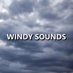 Windy Sounds - Wind Sounds