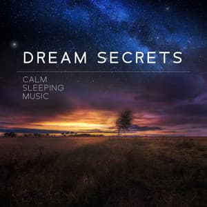 Dream Secrets: Calm Sleeping Music - Sleep Secrets