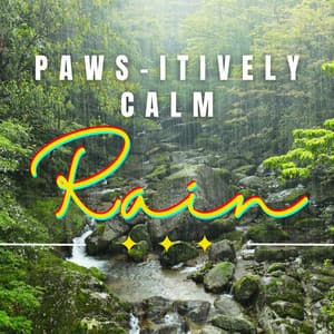 Rain's Pet Serenity: Tranquil Rainfall - Pet Care Music Therapy