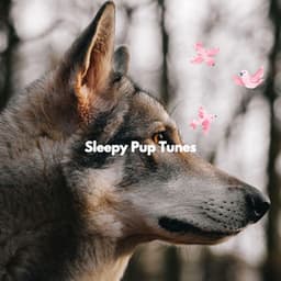 Sleepy Pup Tunes - Relajado Musica Relajante para Perros