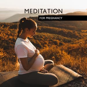 Meditation for Pregnancy: Childbirth, Sleep Music for Baby Sleep, Pregnancy Healing Meditation - Hypnobirthing Oasis